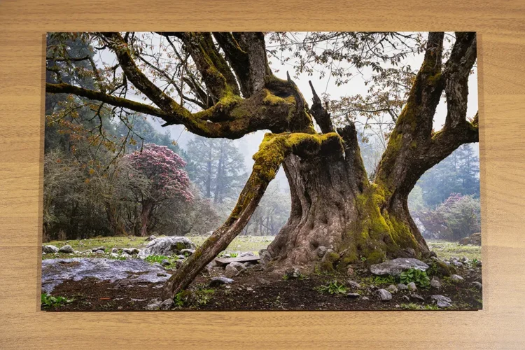 Fine Art tlač fotografií: Baryta Silk