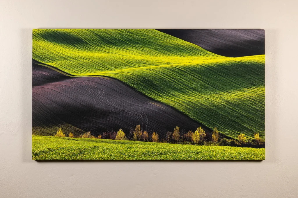 FOMEI Canvas Matt 390 - Fine Art Print - Canonline
