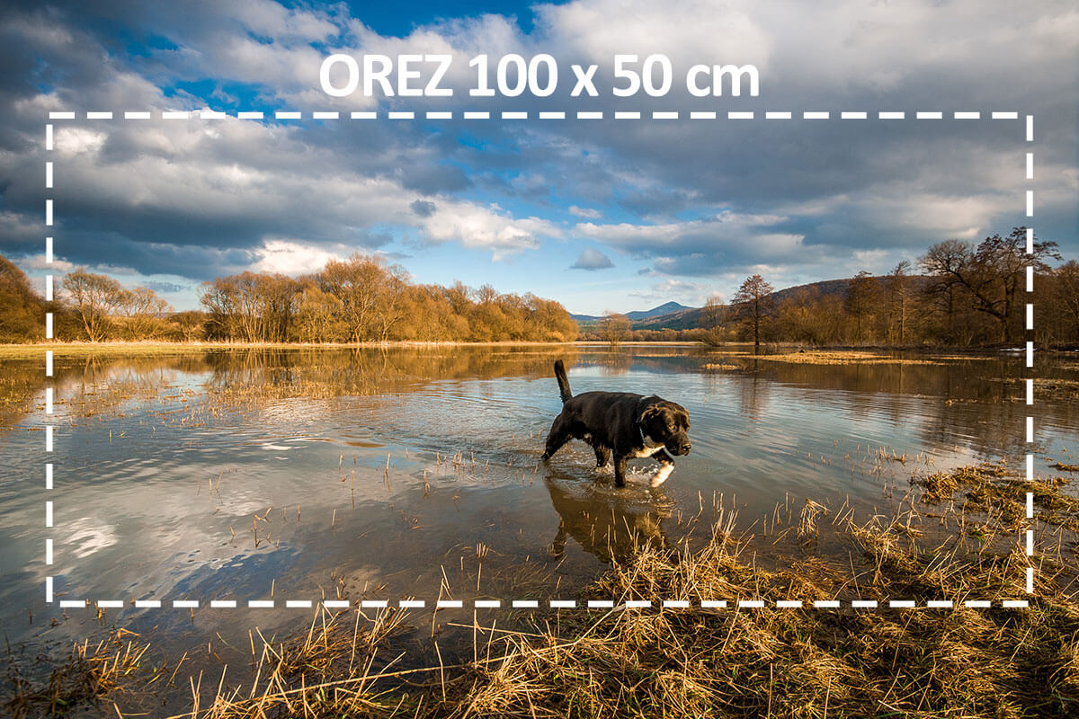orez fotky v online editore Photopea