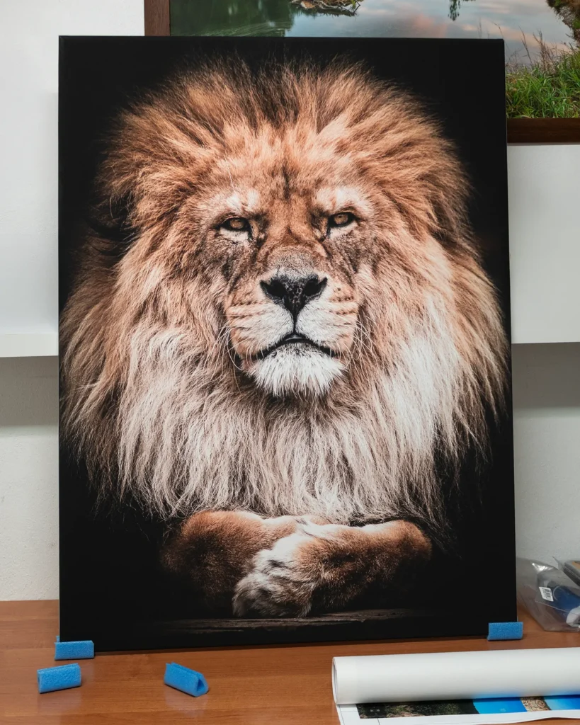 FOMEI Canvas Matt 390 - Fine Art Print - Canonline