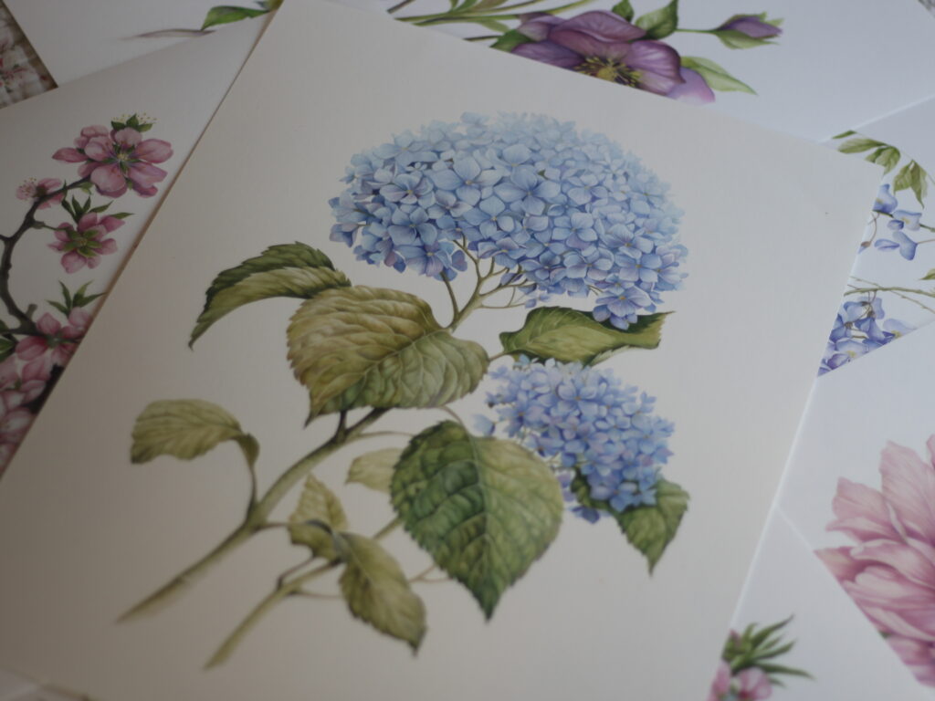 Image #1 from Veronika Fodorová